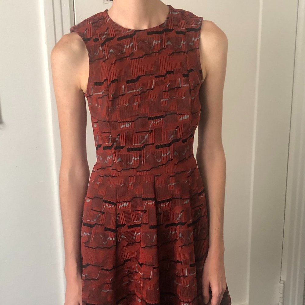Opening Ceremony Skater Dress